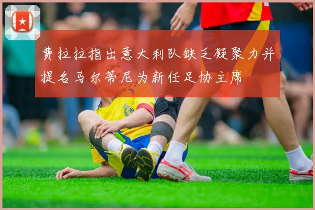 费拉拉指出意大利队缺乏凝聚力并提名马尔蒂尼为新任足协主席