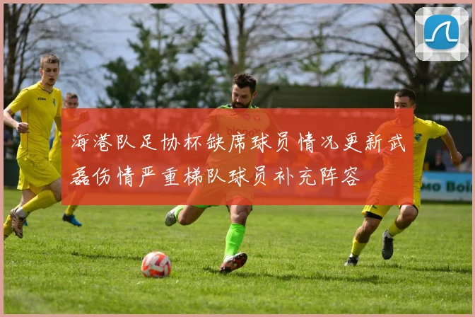 海港队足协杯缺席球员情况更新武磊伤情严重梯队球员补充阵容