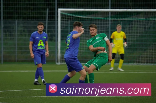 平台展示图
